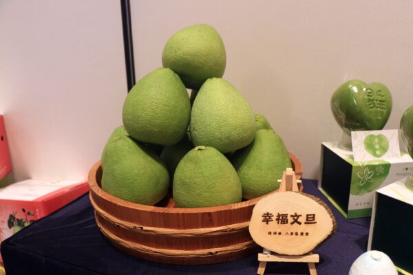 八里文旦限時預購享雙重優惠 抽五星飯店自助餐 - https://www.watchmedia01.com