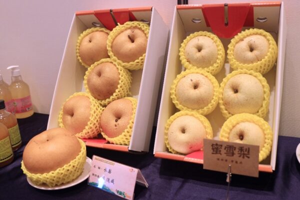 八里文旦限時預購享雙重優惠 抽五星飯店自助餐 - https://www.watchmedia01.com