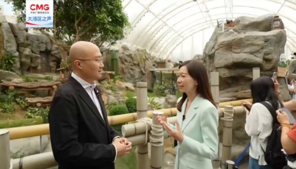香港奮進前行 大灣區之聲《紫荊綻放煥新篇》正式 上線 - https://www.watchmedia01.com