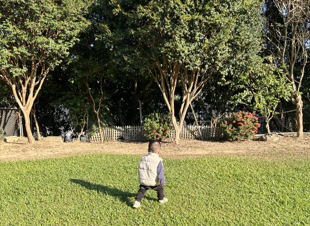 露營成親子秋季首選　專家揭露「孩子最自然的學習場域」四大成長優勢