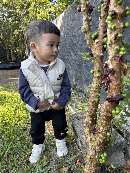 「完整的露營裝備與事前規劃，讓親子戶外活動更安心愉快。」圖/曾璟星