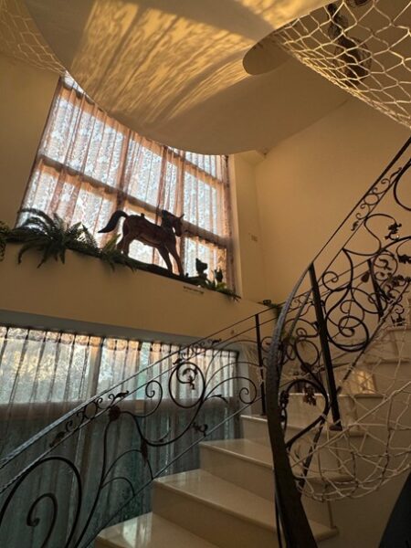 寬敞明亮的室內客廳結合休憩與交流機能,提供家族與朋友自在聚會的核心空間,讓包棟旅客享受如家般放鬆的住宿氛圍。